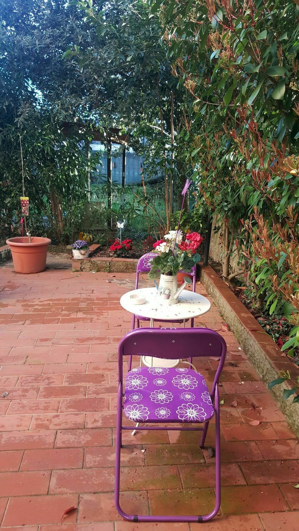 מונטה קטיני טרמה B&B Central Toma 2 מראה חיצוני תמונה